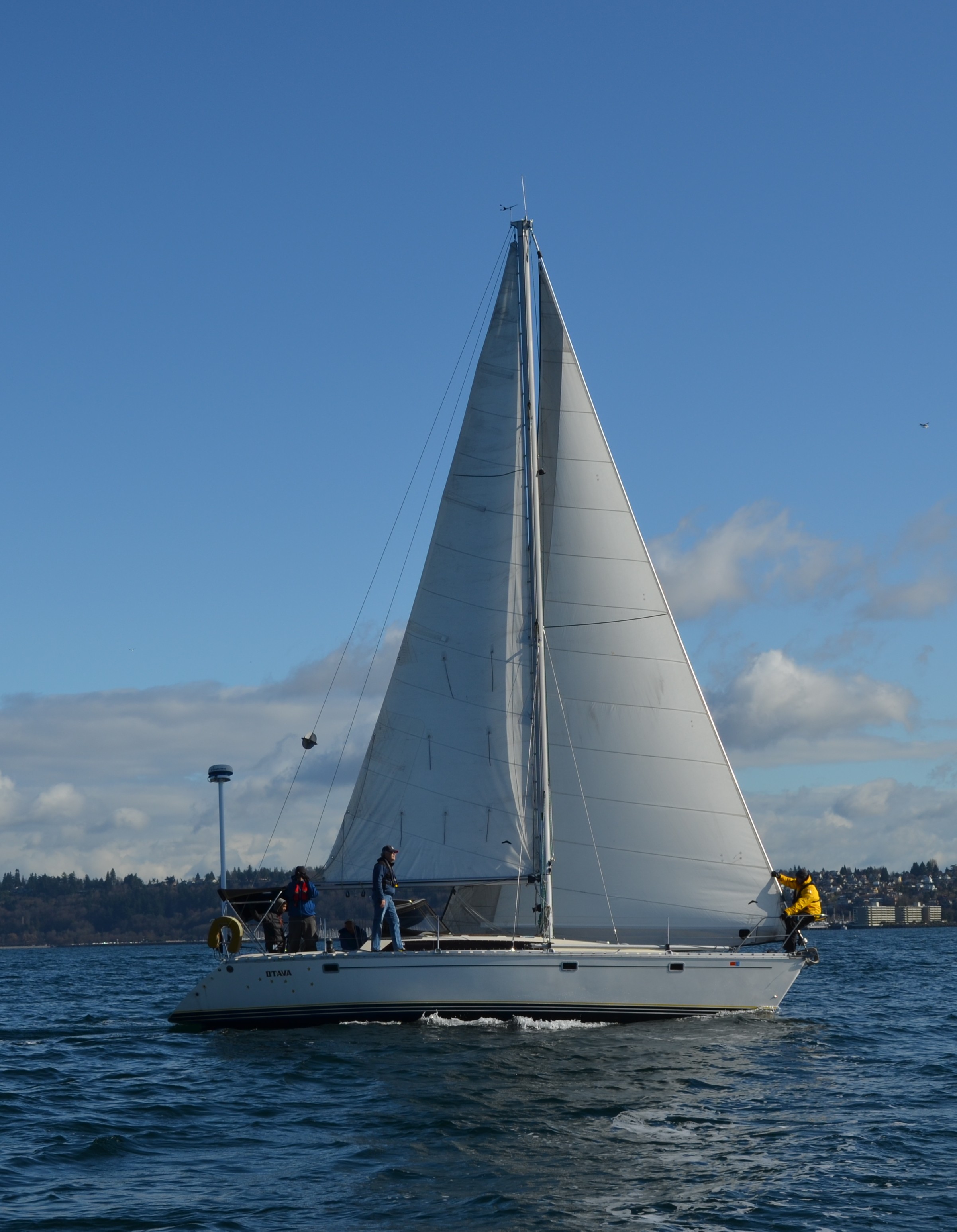 sailboats in seattle