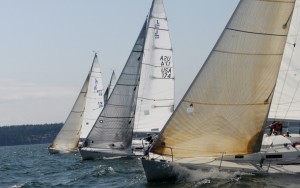 Sailboat fleet