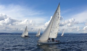 Sailboats on the water